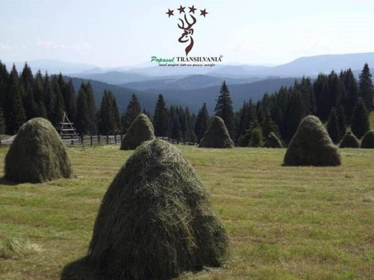 Popasul Transilvania Piatra Fantanele Esterno foto